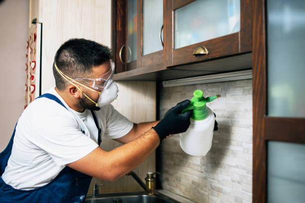 Best Ant Control Services  in Dearborn Heights, MI