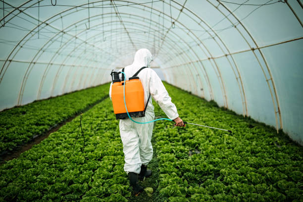Best Mosquito Control Services  in Dearborn Heights, MI