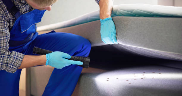 Best Bed Bug Extermination  in Dearborn Heights, MI
