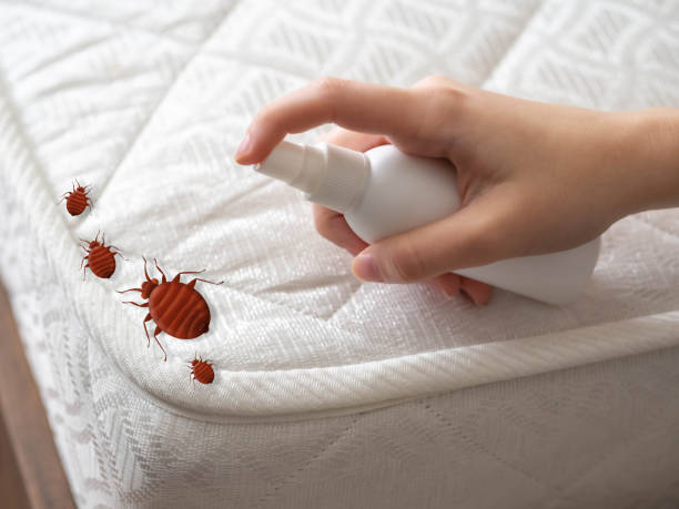 Best Best Pest Control Companies  in Dearborn Heights, MI
