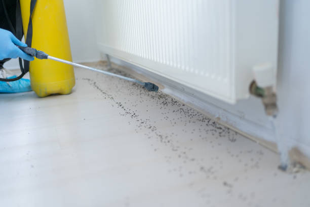 Best Pest Control Near Me  in Dearborn Heights, MI