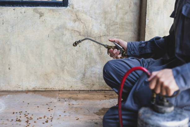 Best Affordable Pest Control Services  in Dearborn Heights, MI